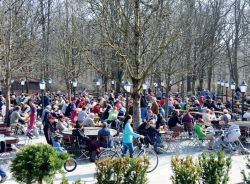 Bawarskie ogródki piwne