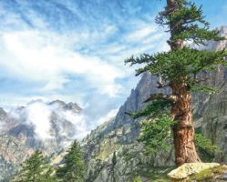 Mercantour - Alpi Marittime