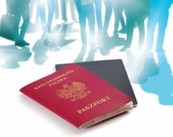 WIĘCEJ nie zawsze znaczy lepiej.