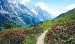 Dotknąć Mont Blanc