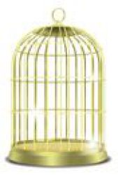 Ptak w złotej klatce