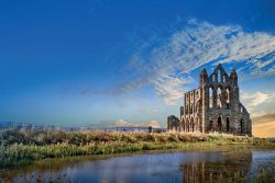 Europo, wróć do korzeni!