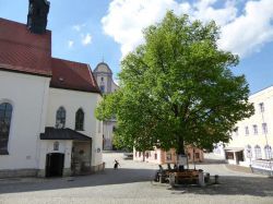 Śladami Jana Pawła II — 45 lat później